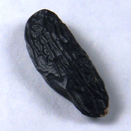 Black African Mojo Bean