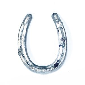 Lucky Horseshoe - Silver