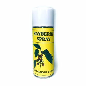 Bayberry Spray