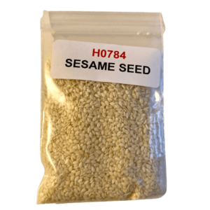 Sesame Seed