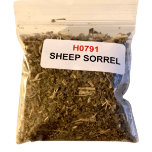 Sheep Sorrel