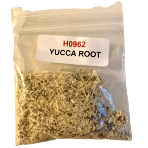 Yucca Root